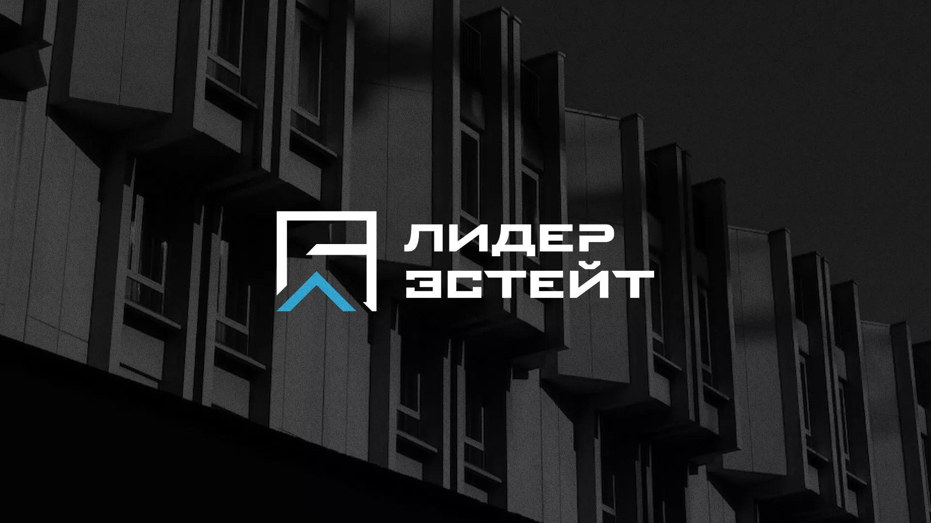 Разработка логотипа агентства недвижимости «Лидер Эстейт» в Боброве